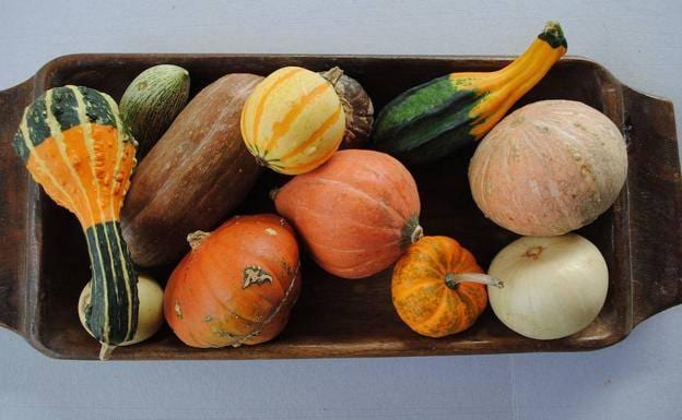 Ocho frutas y verduras ideales para el otoño