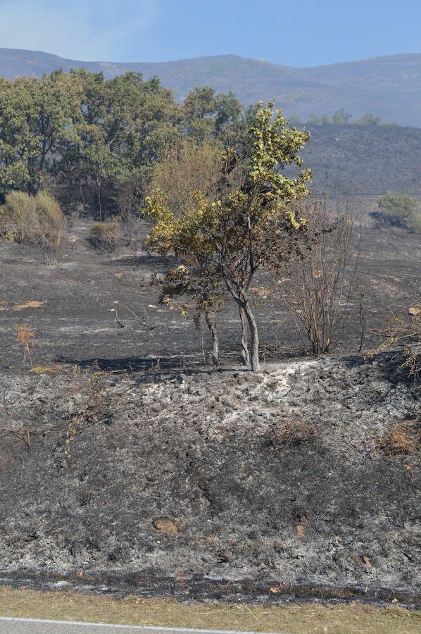 Degaña lucha por frenar el fuego que avanza hacia Fondos de Vega