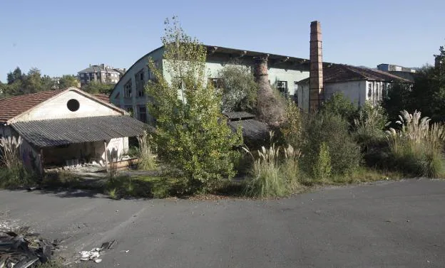 Aspecto actual de la fábrica de loza de San Claudio, invadida por la maleza y los plumeros de la Pampa. Al frente, la chimenea de botella. 