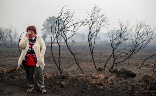 No hay relación entre el fuego en Galicia y la Ley de Montes