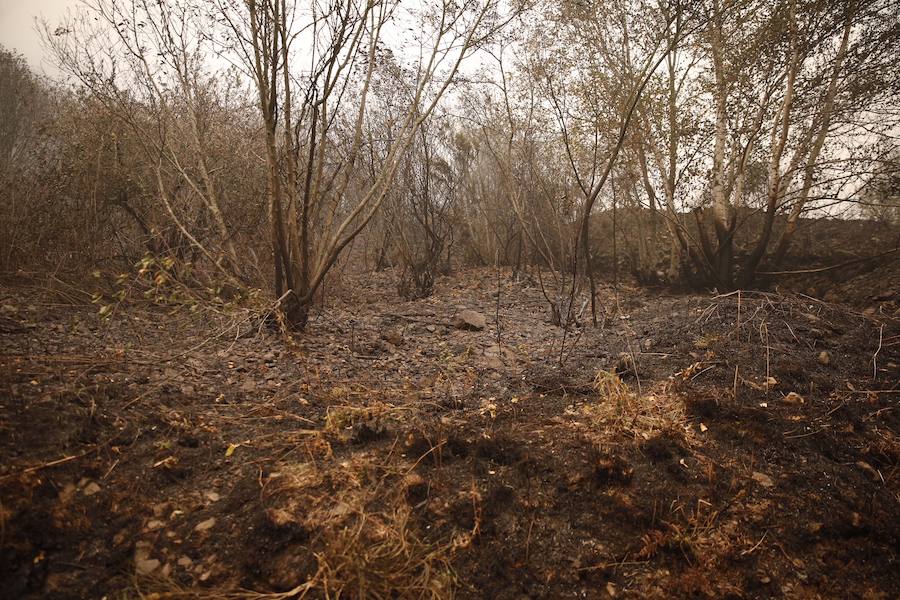 La desoladora imagen que deja el fuego en Asturias