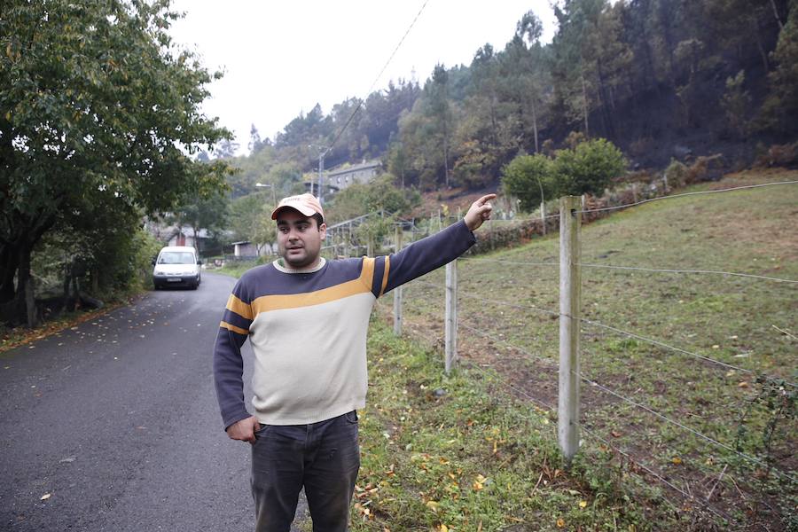 Desolación tras el paso del fuego