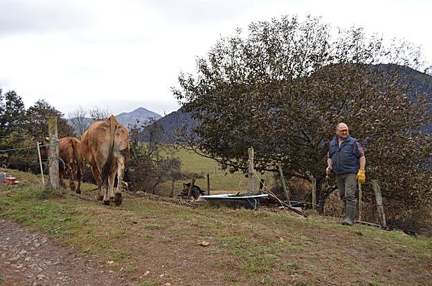 José Manuel Pérez ha vuelto a sus quehaceres en el campo a pesar de las quemaduras. 