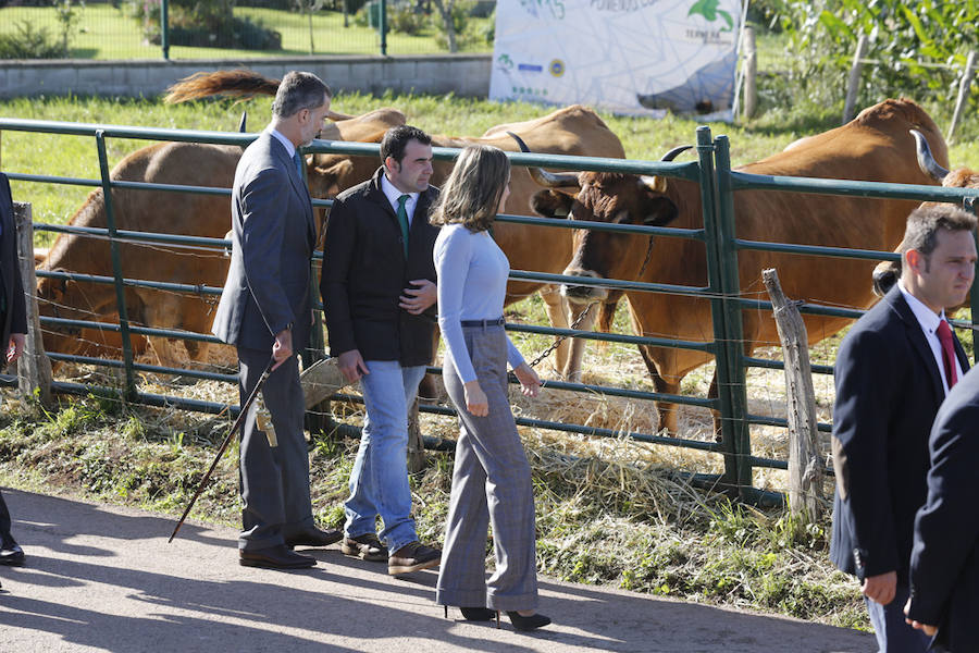 Los Reyes entregan a Poreñu el premio al Pueblo Ejemplar de Asturias 2017