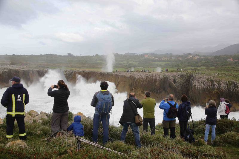 El impactante espectáculo de los bufones de Pría