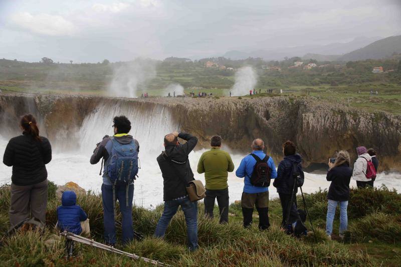 El impactante espectáculo de los bufones de Pría