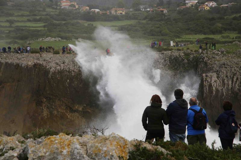 El impactante espectáculo de los bufones de Pría