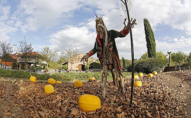 Qué, dónde y cuándo: El Jardín Botánico de Gijón, totalmente decorado con calabazas, ofrece una amplia programación dedicada a Halloween a lo largo de los próximos días. 