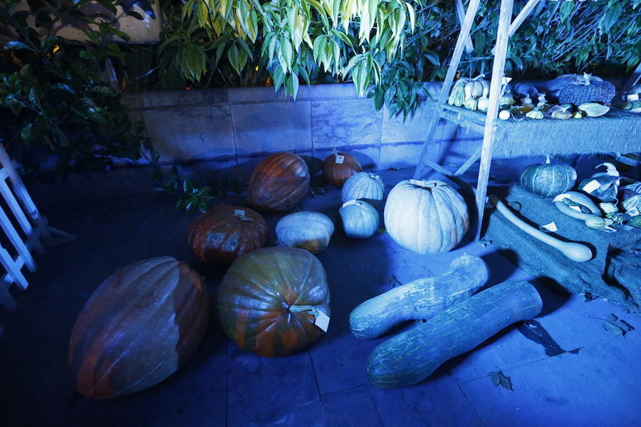 Noche de terror en el Halloween del Botánico