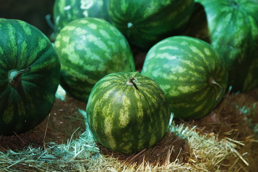 Noche de terror en el Halloween del Botánico