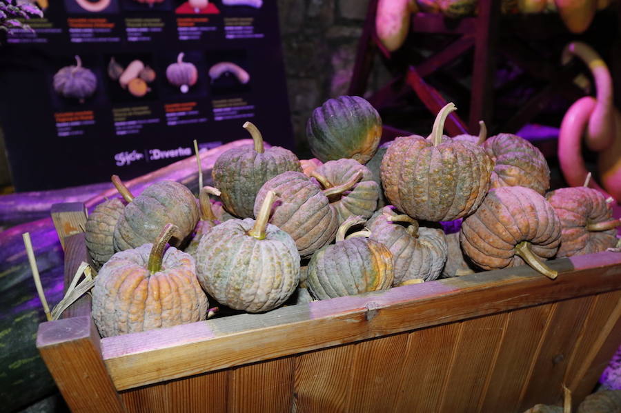 Noche de terror en el Halloween del Botánico