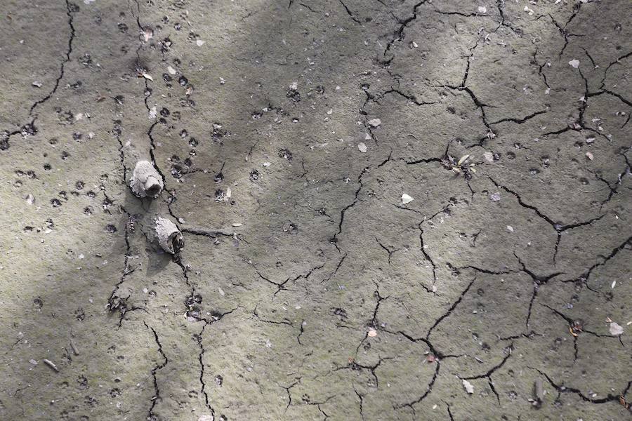 Los estragos de la sequía en Asturias