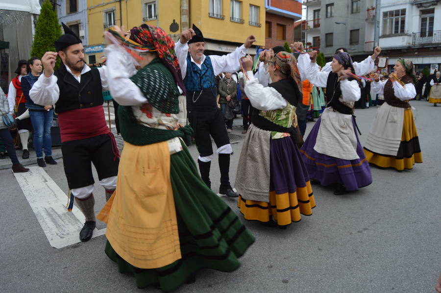 Las sextas jornadas de folclore del Suroccidente llenan de música y baile tradicional las calles de Tineo. Organizadas por el grupo de baile tradicional Perendengue y la asociación cultural El Baille, rinden homenaje a la figura de la tocadora de 'pandeiru' Concha Trasmonte, reivindicando la cultura y tradición de esta comarca asturiana. 