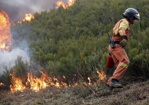 Un bombero realiza un cortafuegos, en octubre, cerca de Muniellos. 