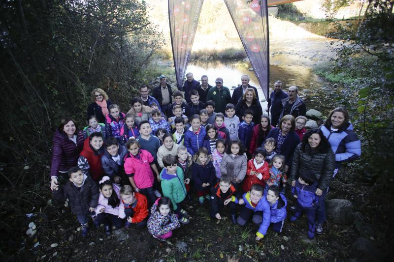 Escolares sueltan 5.000 alevines de trucha en el Nalón