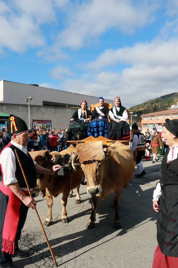 Fiesta de los Humanitarios de San Martín en Moreda de Aller