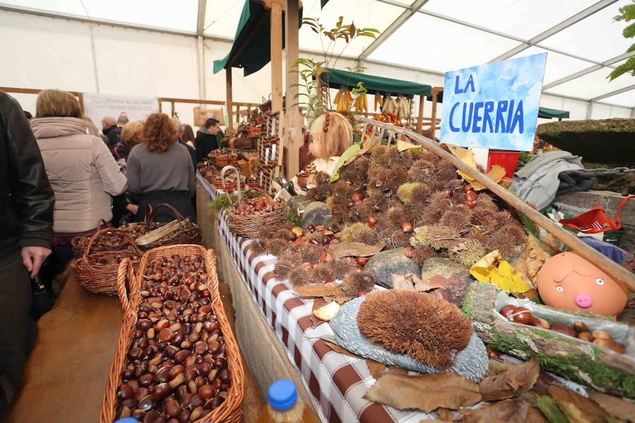 Arriondas celebra su Certamen de la Castaña