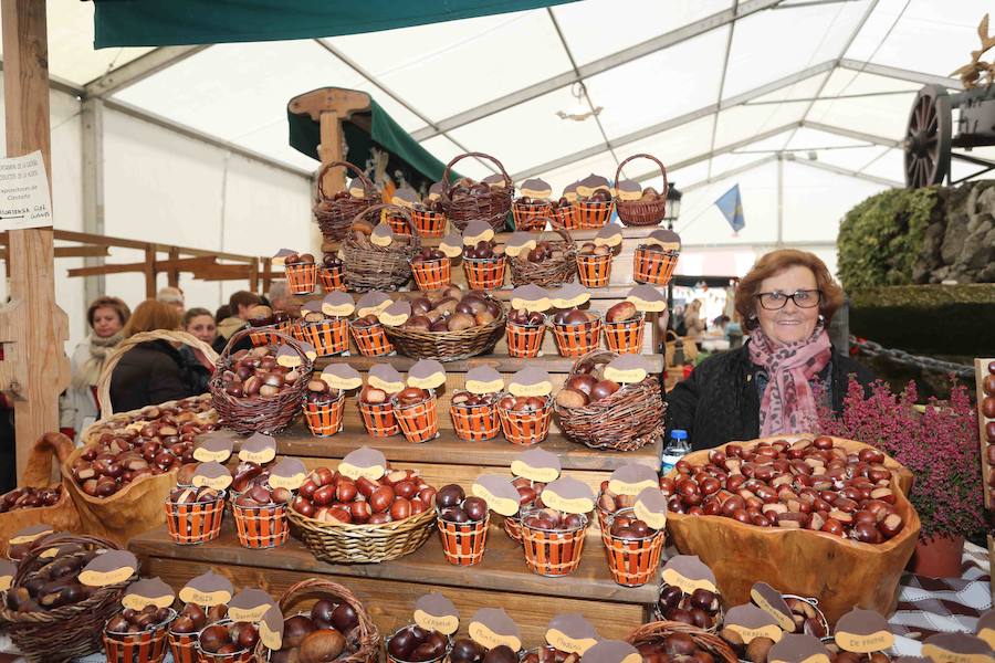 Arriondas celebra su Certamen de la Castaña