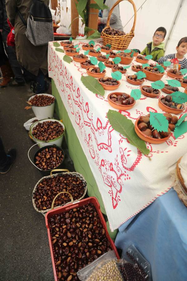 Arriondas celebra su Certamen de la Castaña