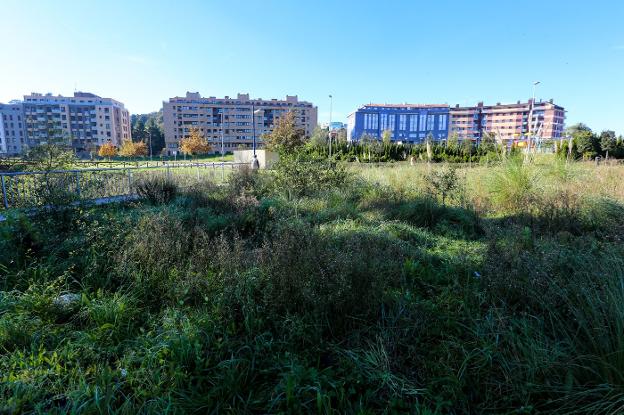 Zona de la urbanización residencial de La Magdalena, con las viviendas ya edificadas al fondo, rodeadas de parques y de parcelas en las que aún no se ha edificado. 