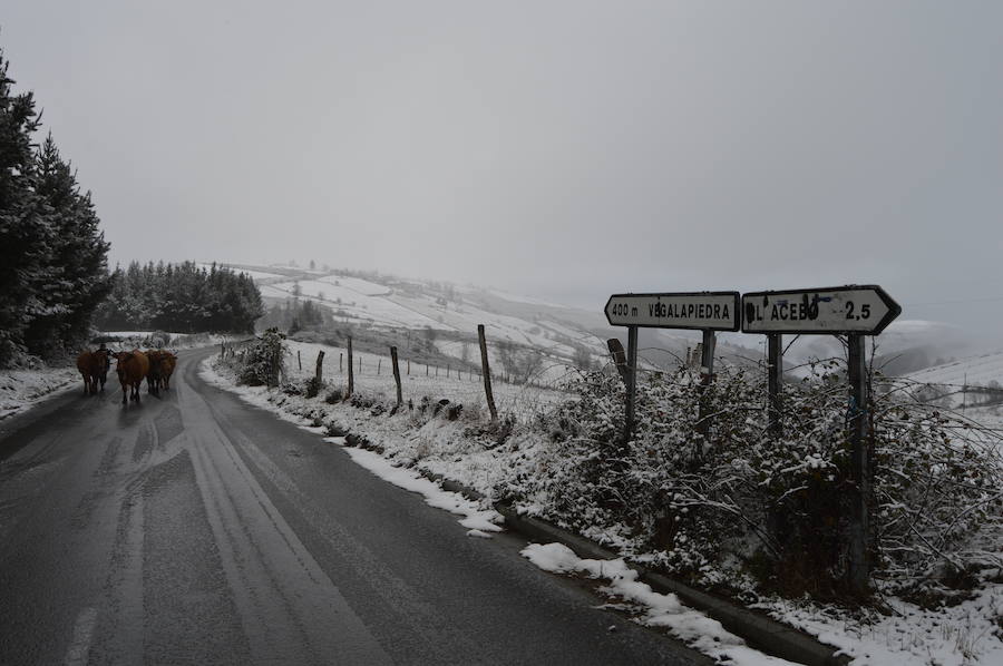 La nieve complica el tráfico en los puertos asturianos