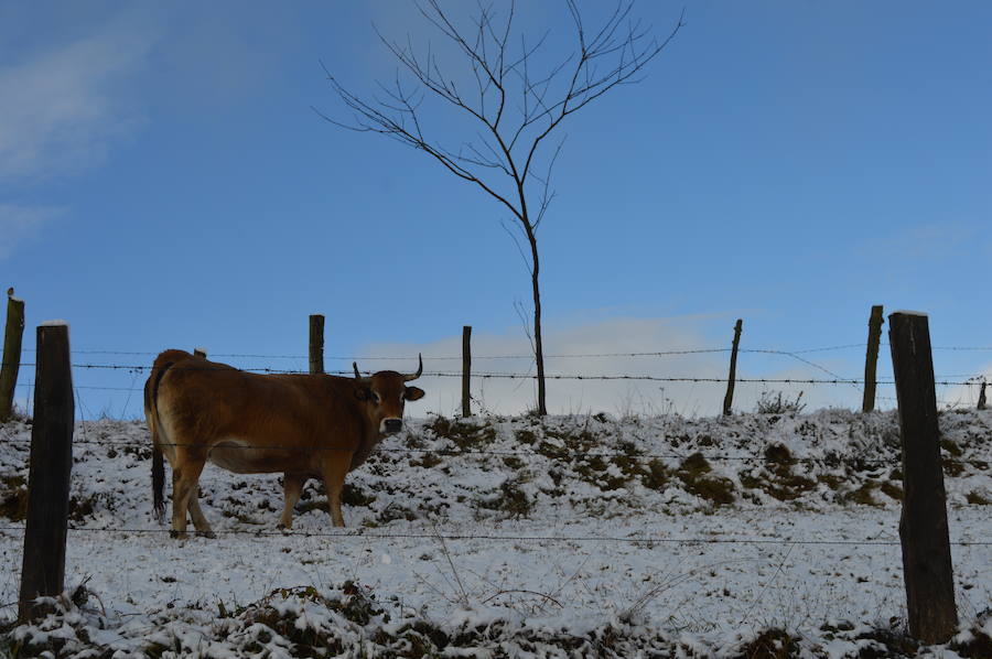 La nieve complica el tráfico en los puertos asturianos