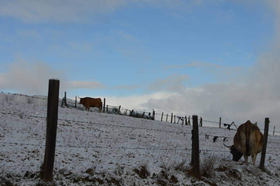 La nieve complica el tráfico en los puertos asturianos