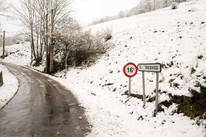 La nieve complica el tráfico en los puertos asturianos