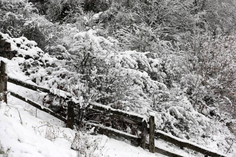 La nieve complica el tráfico en los puertos asturianos