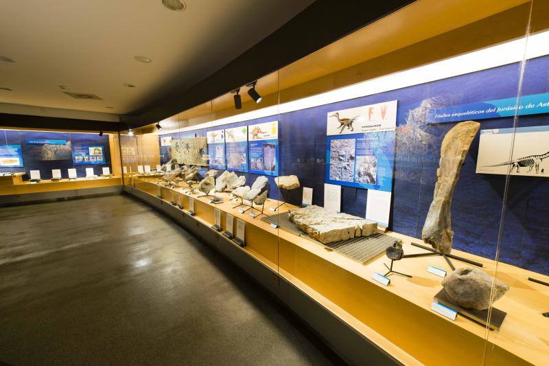 El MUJA amplía su colección