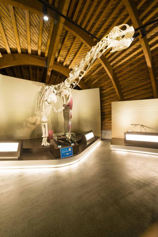 El MUJA amplía su colección