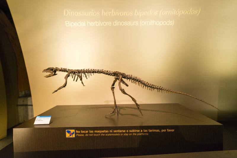 El MUJA amplía su colección