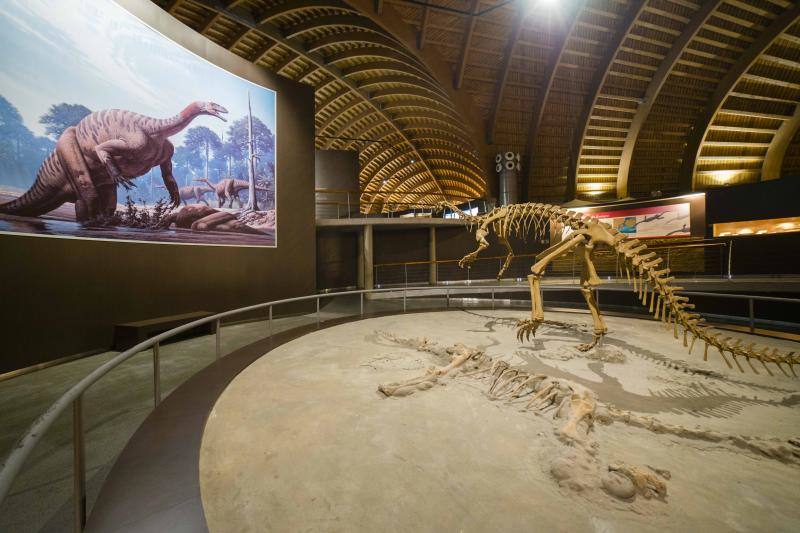 El MUJA amplía su colección