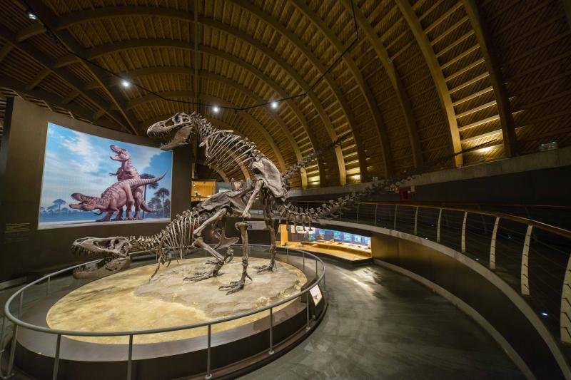 El MUJA amplía su colección