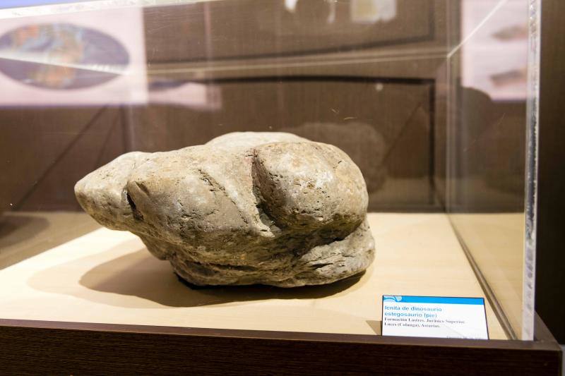 El MUJA amplía su colección