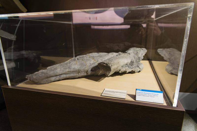 El MUJA amplía su colección