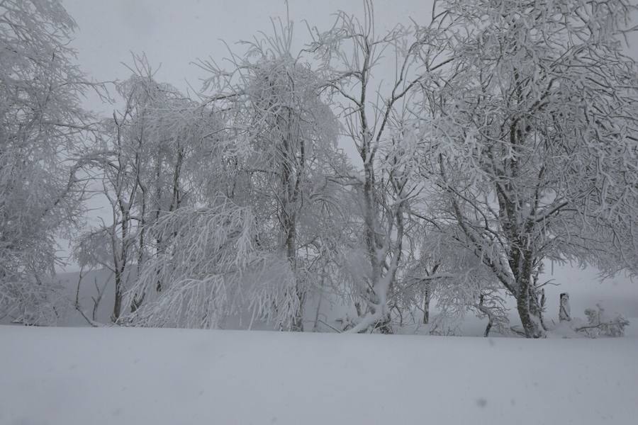 La nieve cubre de blanco Asturias