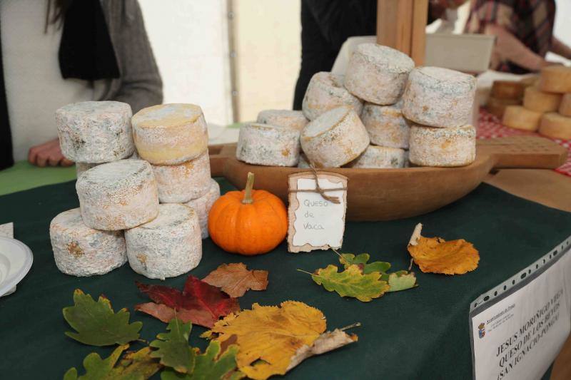 Calidad y frío gélido en el Certamen de Queso de los Beyos en Ponga