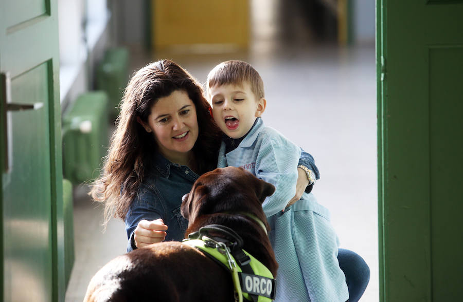 El colegio de educación especial programa actividades con perros que hacen las delicias de sus alumnos