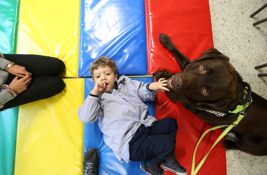 El colegio de educación especial programa actividades con perros que hacen las delicias de sus alumnos