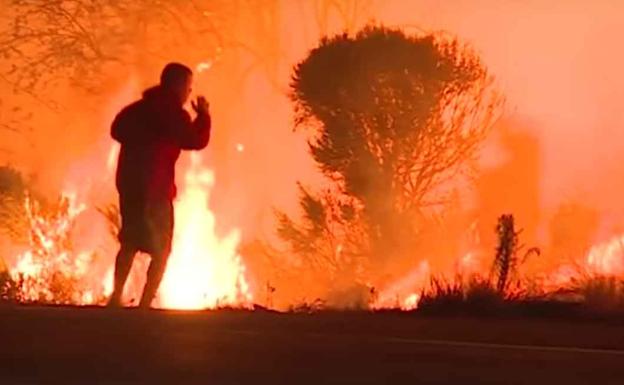Incendios en California: Arriesga su vida para salvar a un conejo de las llamas