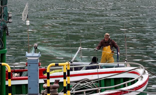 Varios pescadores preparan los aparejos en una embarcación para salir a faenar a la mar. 