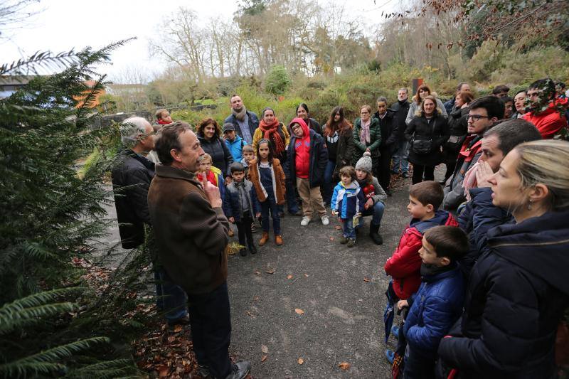 Visitas guiadas y talleres infantiles en el Jardín Botánico