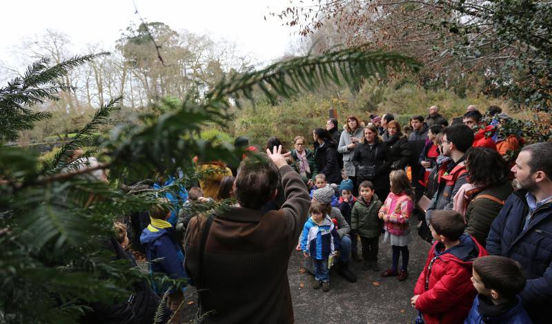 Visitas guiadas y talleres infantiles en el Jardín Botánico