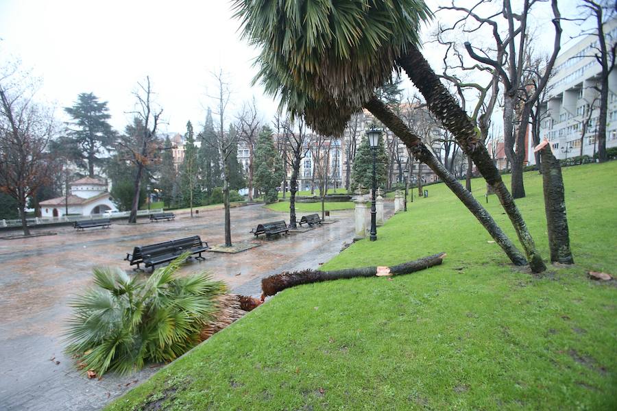 Bruno se deja sentir en Asturias