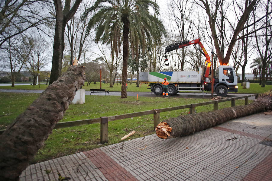 Bruno se deja sentir en Asturias