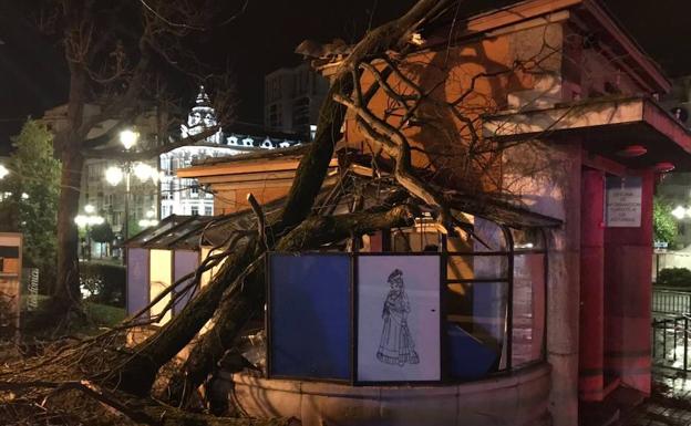 'Bruno' destroza El Escorialín en Oviedo