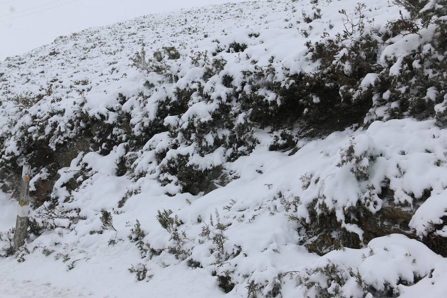 La lluvia y las precipitaciones ponen a Asturias en alerta amarilla