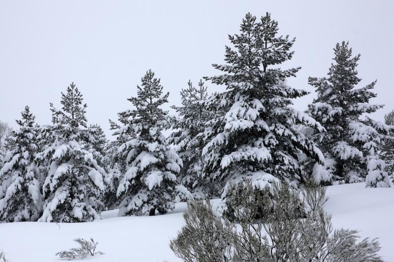 Asturias se cubre de blanco