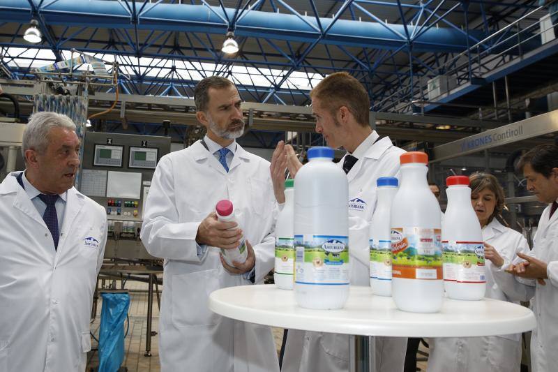 Felipe VI visita este lunes la fábrica de CAPSA en Granda (Siero)